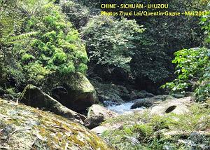Luzhou 079